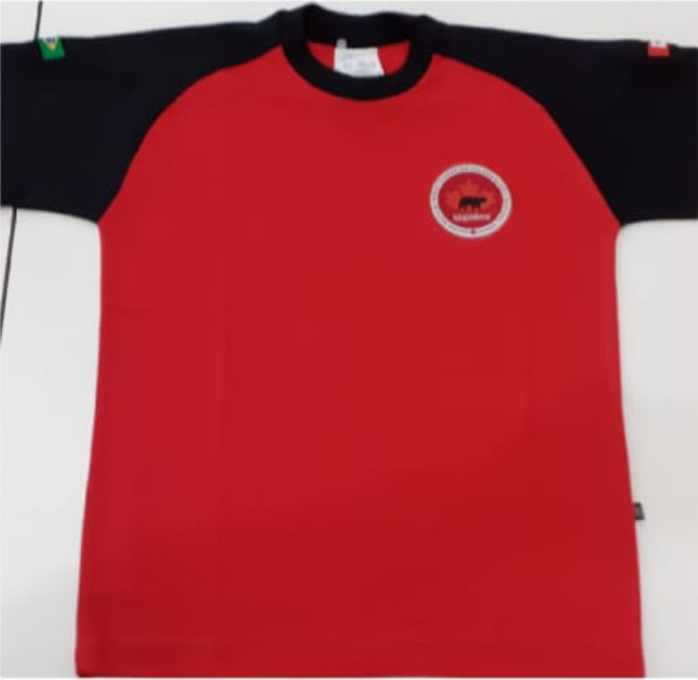 Camiseta Manga Curta